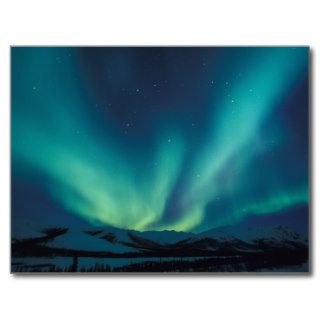 NA, USA, Alaska, Brooks Range, Curtains of green Postcard