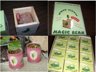 Good Luck Bean   Message on a Bean Kit  Vegetable Plants  Patio, Lawn & Garden