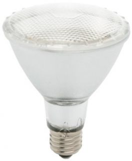 Designers Edge L 604 36 LED 50, 000 PAR30 Bulb   Led Household Light Bulbs  