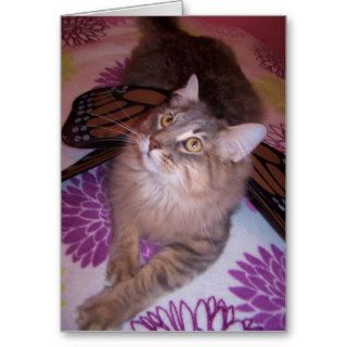 Cat lover card