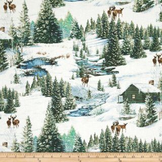 Winter Stillness Scenic Multi Fabric By The YD