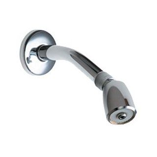 Chicago Faucets 620 AVPCP Universal Shower Head with Arm, Flange, and Ball Joint   Fixed Showerheads  