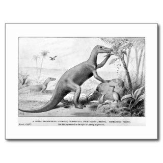 Claosaurus art postcard