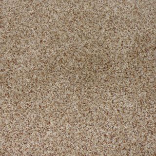 STAINMASTER Stanfield Sable Cut Pile Indoor Carpet