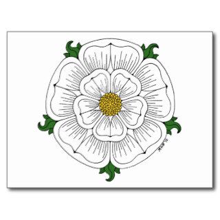 White Rose of York Postcard