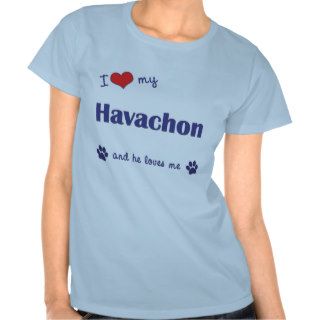 I Love My Havachon (Male Dog) Tshirt