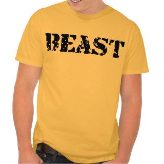 Beast Men's Hanes Nano T Shirt, Orange