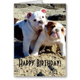 English Bulldogs Puppy Love Birthday Cards