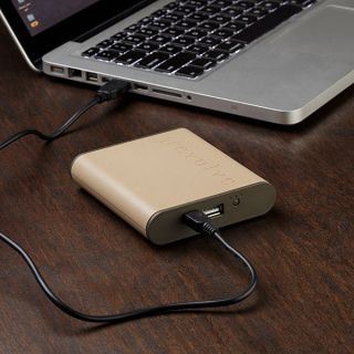 Rescue Portable USB Battery Pack
