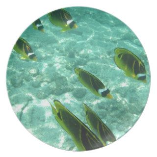Tropical Fish Underwater Party Plates