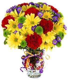 Best Wishes Bouquet  Fresh Cut Format Mixed Flower Arrangements  Grocery & Gourmet Food