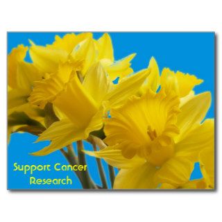Daffodil Days Postcards
