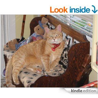 THE ADVENTURES OF SIR LANCELOT THE CAT   Kindle edition by Katherine Tapley Milton. Children Kindle eBooks @ .