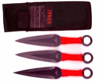 Ninja Throwing Knives in Nylon Sheath 3pc Set  Martial Arts Knives  Sports & Outdoors