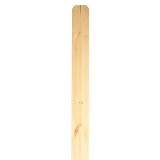 Pine Dog Ear Pressure Treated Wood Fence Picket (Common 5/8 In x 5 1/2 In x 72 in; Actual 0.63 in x 5.5 in x 72 in)