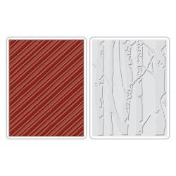 Sizzix Texture Fades A2 Embossing Folders 2/pkg   Birch Trees   Candy Stripes By Tim Holtz
