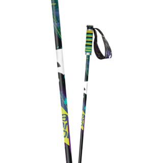 Salomon Brigade Ski Pole   Ski Poles