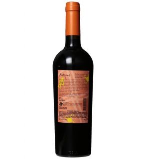 2011 Antiyal Red Blend 750 mL Wine