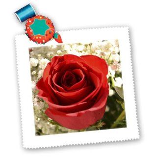 3dRose qs_39382_1 Sweetheart Red Rose Romantic Flowers Photography Quilt Square, 10 by 10 Inch