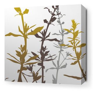 Inhabit Morning Glory Wildflower Stretched Graphic Art on Canvas in Silver an