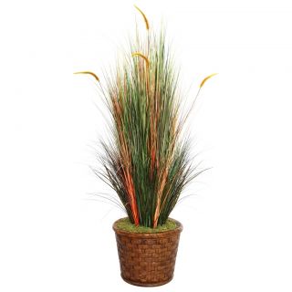 Laura Ashley 65 Tall Onion Grass With Cattails In 17 Fiberstone Planter