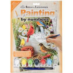 Junior Small Paint By Number Kit 8.75 X11.75   Garden Birds