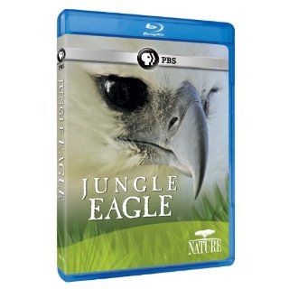 Nature Jungle Eagle [Blu ray] n/a, Fergus Beeley Movies & TV