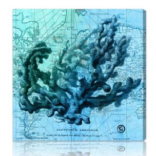 Oliver Gal Oceana Graphic Art on Canvas 10135 Size 12 x 12