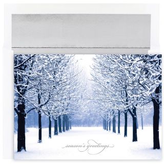 Snow covered Tree Line Boxed Holiday Cards (set Of 16)
