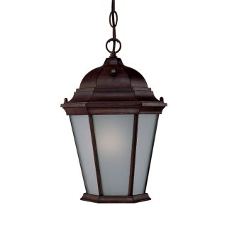 Richmond Energy Star Collection Hanging Lantern 1 light Outdoor Burled Walnut Light Fixture