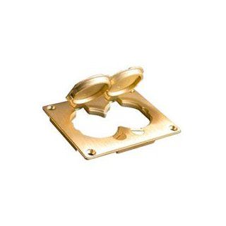 Wiremold 828R Brass Duplex Receptacle Plate Ombx