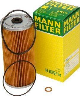 Mann Filter H 829/1 X Oil Filter Automotive