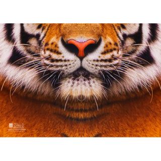 Molla Space, Inc. Tiger Sniffing Notebook SMS002 TG