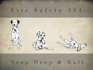 Stop, Drop and Roll Poster (24.00 x 18.00)   Prints