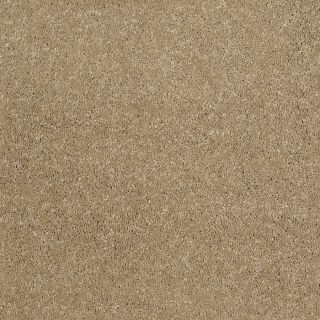 STAINMASTER Trusoft Luscious I Flax Textured Indoor Carpet