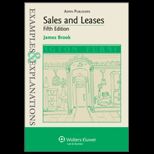 Sales and Leases  Examples and Explanations
