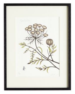 Queen Annes Lace Print