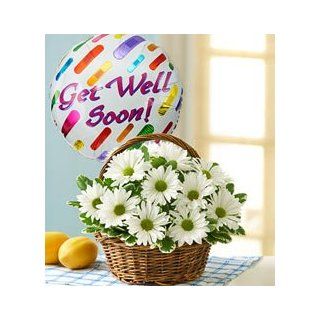 Flowers by 1800Flowers   Basket Full of Daisies with Get Well Balloon   Small  Fresh Cut Format Daisy Flowers  Grocery & Gourmet Food