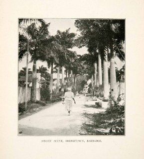 1907 Print Bridgetown Barbados Caribbean Street Palm Tree Tropics Cityscape Art   Original Halftone Print  