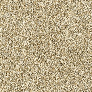 Shaw Soft & Cozy I White Washed Textured Indoor Carpet