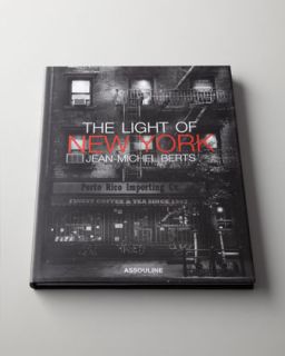 The Light of New York Book