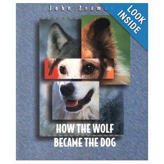 How the Wolf Became the Dog (Before They Were Pets) John Zeaman 9780531159064  Kids' Books
