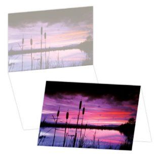 ECOeverywhere Cattail Sunset Boxed Card Set, 12 Cards and Envelopes, 4 x 6 Inches, Multicolored (bc12276)  Blank Postcards 