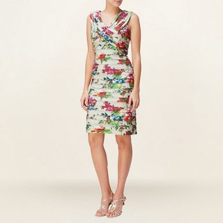 Phase Eight Multi Coloured Ellie Floral Pleated Dress