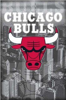 Chicago Bulls Logo Poster (3636)   Prints