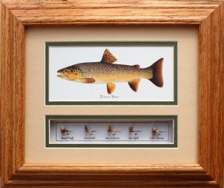 Brown Trout Print by Joseph Tomelleri with 5 Flies in a 11 x 13 Solid Oak Frame  