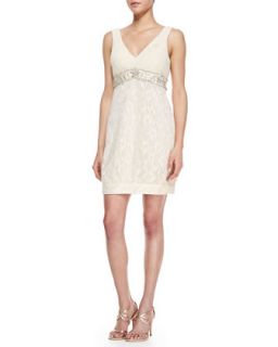 Womens V Neck Lace Skirt Dress   Sue Wong   Champagne (6)