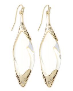 Large Clear Lucite Dangle Wire Earrings   Alexis Bittar   (LARGE )