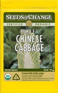 Seeds of Change S20300 Certified Organic Bilko F 1 Chinese Cabbage, 50 Seed Count  Vegetable Plants  Patio, Lawn & Garden