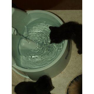 Drinkwell Big Dog Pet Fountain  Pet Self Waterers 